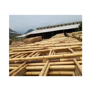 100% naturale palo di bambù per la decorazione di mobili all'ingrosso naturale magra l'albero bastoni alla rinfusa di bambù di grandi dimensioni