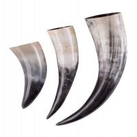 Cornes de buffle polies sur mesure pour la décoration intérieure et fournitures viking Cornes à boire naturelles pour la revente