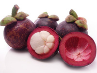 Verse Mangosteen Vietnam Hoge Kwaliteit En Lage Prijs + 84 978495473