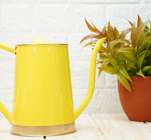 Regaderas modernas amarillas, riegan los hermosos accesorios de jardín de su mundo del arte de regar macetas y macetas - Product Image 2