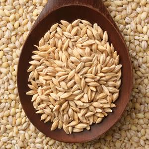 Organic Premium High Protein Barley <b>Seeds</b> for Horse Cattle & Fish Feed-Bulk Malted Grain - Product Image 6