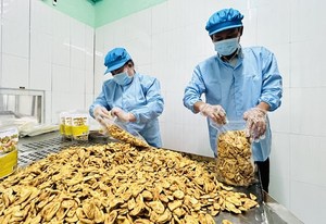 [ตัวเลือกยอดนิยม] กล้วยกรอบเกรดพรีเมี่ยมจากธรรมชาติ100% จากเวียดนามผลไม้ตากแห้งอร่อยกรอบส่งออกผลิตภัณฑ์ทางการเกษตร - Product Image 6