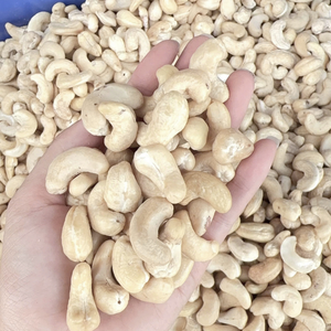 Gran oferta 2023 anacardos Dubai anacardos W320 anacardos WW180, WW240, WW320 listos para enviar - Product Image 1