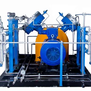 H2 Compressor High Pressure Biogas Compressor Hydrogen Refueling Station Diaphragm Compressor