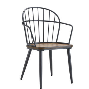 Drats <b>Dining</b> <b>Chairs</b> Set of 2 Accent Birch Finish, Bucket Backrest, Metal Frame for Kitchen & <b>Dining</b>. - Product Image 1