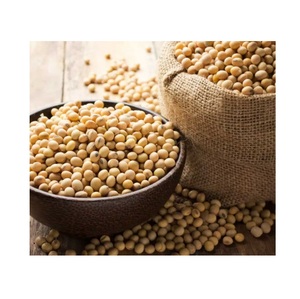 Graines de guar Phali pour les agents épaississants et stabilisants alimentaires - Product Image 3