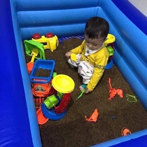 SEMILLA CASSIA TORI DE BLUELOTUS VIETNAM PARA NIÑOS PARQUE VENTA CALIENTE 2023 - Product Image 4