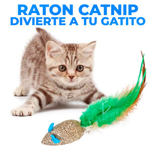 Palline Interattive Ecologiche al Catnip per Gatti, Piccolo Giocattolo di Lusso a Forma di Topo in Confezione Attraente, Stili Classici e Moderni - Product Image 2