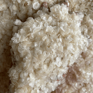 เครื่องชั่งน้ำหนักปลาแบบแห้งจากเวียดนามวัตถุดิบคุณภาพระดับพรีเมียมสำหรับคอลลาเจน - Product Image 2