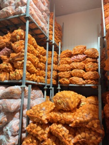 แครอทออร์แกนิกหวานสดจากเวียดนามผักมีวิตามินสูงส่งออก - Product Image 5