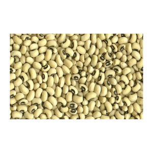 Haricots noirs disponibles en grande quantité pour un approvisionnement sur un marché large - Product Image 4