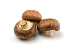 Venta al por mayor Natural cultivado orgánico seco Agaricus Blazei Murill Mushroom Agaricus Spawn ANGLE - Product Image 6
