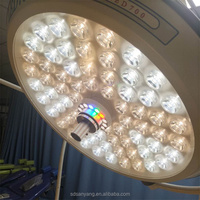 Lampe chirurgicale LED portable avec support, lampe d'opération vétérinaire mobile pour usage clinique