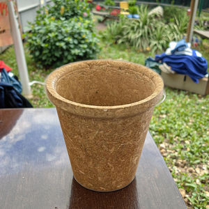 Vasos compostables de 250 ml (8.5 oz) hechos de salvado y cáscara de arroz que se descomponen naturalmente sin dejar residuos nocivos. - Product Image 1