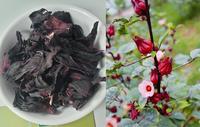 100% FLEURS NATURELLES SÉCHÉES POUR HERBAL TEA-FLEUR D'HIBISCUS DU VIETNAM