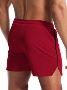 Custom Men's Athletic <b>Zipper</b> <b>Pocket</b> Sports <b>Shorts</b> Hot Polyester Cotton Summer Fitness Jogger Workout Casual Solid Printed <b>Shorts</b> - Product Image 4