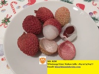 Kme Verkoper Goede Kwaliteit Vers Zoet Lychee Fruit Tegen Goedkope Prijs Vietnam 5-10Kg Karton