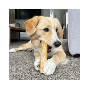 Bâton à mâcher en bois de café écologique et durable, offre exceptionnelle, marque privée - Cadeau d'anniversaire pour chiens, taille XS pour toutes les races - Product Image 6