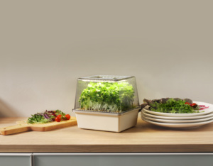 Kit <span class=keywords><strong>per</strong></span> Microgreens da Interno con Luce LED da 8W <span class=keywords><strong>per</strong></span> Coltivazione Piante, Vassoio Germogliante Autoirrigante <span class=keywords><strong>per</strong></span> Cucina Domestica e <span class=keywords><strong>Giardino</strong></span>, DC5V CE RoHS da Appoggio - Product Image 6