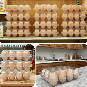 Bandeja para 12 Huevos, Ecológica, Duradera, de Plástico PP, 6x2, Reciclable, Transparente, de Grado Alimenticio, Caja de Cartón para Almacenamiento Seguro - Product Image 3