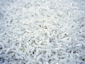 Arroz Chinigura de alta calidad, aromático, de grano fino, premium, fragante, de textura suave, nutritivo, saludable, ideal para la cocina diaria. - Product Image 6
