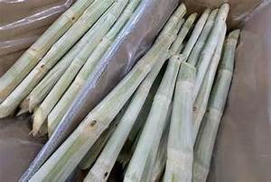 CAÑA DE AZÚCAR CONGELADA PURA NATURAL ETIQUETA LIMPIA PRODUCTO BASADO EN PLANTAS - Product Image 4