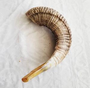 Cuerno de Ramo de Primera Calidad, Shofar, Cuerno Sonoro para Festivales Religiosos - Product Image 6