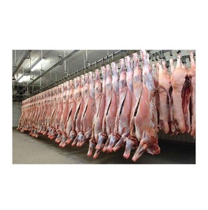 Carcasses de bœuf congelées propres à vendre - Product Image 5