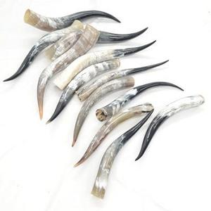 Handmade Viking Medieval Drinking Horn Real Natural Buffalo Horn with Leather <b>Holster</b> Eco-Friendly Handcrafted in India - Product Image 4