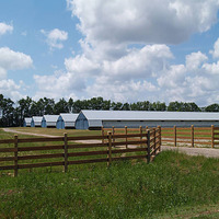 Entrepôt en structure métallique préfabriquée, bâtiment métallique préfabriqué, atelier à toit courbé, hangar industriel en acier à grande portée