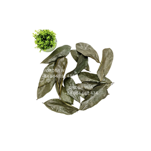 100% Naturel Premium Organique Corossol Feuilles Poudre Premium Soursop Guanabana Graviola Feuille - Product Image 4