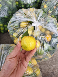 Paquete personalizado sin aditivos, rebanada de frutos secos naturales, rebanada de Lima, té de Lima Akina - Product Image 4