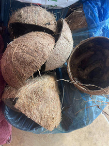 2025ขายเปลือกมะพร้าว100% เปลือกมะพร้าวธรรมชาติที่มีคุณภาพสูงจากผู้ผลิตในเวียดนาม - Product Image 4