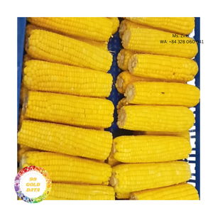 Maïs sucré surgelé IQF, couleur naturelle, goût sucré, qualité stable - Product Image 6