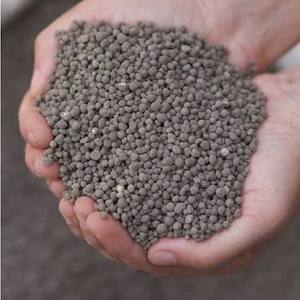 ปุ๋ยเม็ด DAP ชนิดละลายเร็ว - Product Image 1