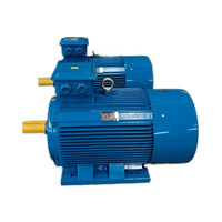 Moteur électrique triphasé à induction asynchrone haute efficacité 315 kW 430 ch 1495 tr/min-3000 tr/min pour pompes, compresseurs, ventilateurs