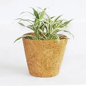 Coco Fiber Pots Germiantion Cups For Growing Plant Reusable Coco Fibrous Planter Pots For Roof Top Gardening Product For Agriuse