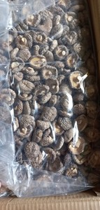 PRODUCTO CALIENTE SETA SHIITAKE SETA HONGO NEGRO SETA DE ALTA CALIDAD DE VIETNAM 2024 - Product Image 2