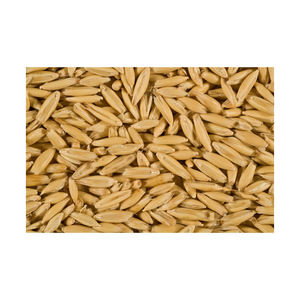 Granos de avena de alta calidad 100% puros al por mayor - Product Image 1