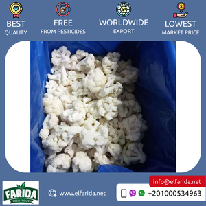 Exportador de alta calidad de suministro al por mayor 100% de verduras naturales altamente nutritivas coliflor congelada de Egipto - Product Image 3