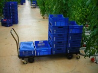 Chariot de récolte standard SEOMAK HA-S1 en gros, grande capacité, construction en acier, équipement agricole pour serres, tomates, CE ISO