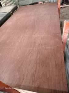 Lámina de Madera de Fresno Comercial BINTANGOR 4x8, Estándares de Emisión de Formaldehído E2, Vietnam - Product Image 6