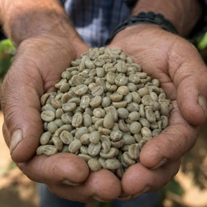 WELL ALIMENTS Brazil Santos NY Minas Gerais Arabica Specialty Traceable Green & Roasted Coffee <b>Beans</b> 60kg Bulk <b>Bags</b> - Product Image 1