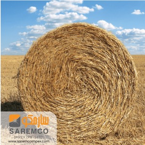 Premium Quality <b>Dried</b> <b>Wheat</b> Straw Hay Bales On-Sale Forage for Cattle Pig Horse Sheep Rearing Feed - Product Image 6