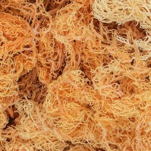 POUR L'EXPORTATION DE LA COUPE EUCHEUMA COTTONII ALGUES SÉCHÉES IRISHMOSS JAUNE DE VDELTA VIETNAM MARY - Product Image 4