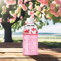 JOLLY 320mL Aromatiserend Kokosvrucht- en Groentesap met Nata De Coco 24 Flessen OEM ODM Private Label