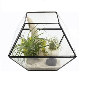Florero de forma geométrica de mesa de Terrario de metal y vidrio para decoración interior - Product Image 1