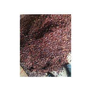 Double langues de qualité supérieure Tamarindus Indica Seeds Herbal Exportateur du fabricant indien Durée de conservation de 12 mois - Product Image 4