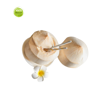 Why Diamond Peeled Coconut Is a <b>Highlight</b> of Vietnamese Cuisine - Product Image 2