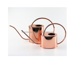 Diseño personalizado decoración del hogar jardín decorativo hierro regadera jardín decoración interior y exterior caña de agua - Product Image 5